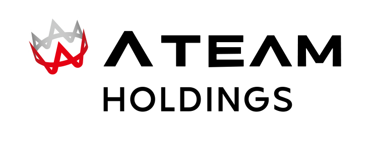 株式会社エイチームホールディングス